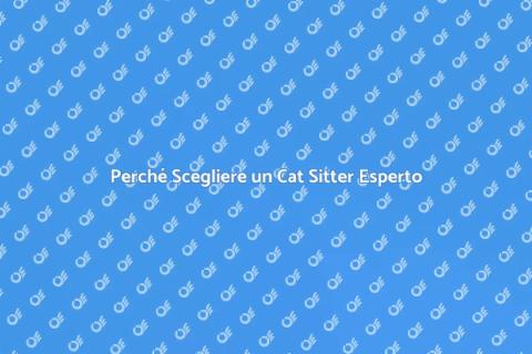 Cat Sitter per Gatti: Cura e Routine