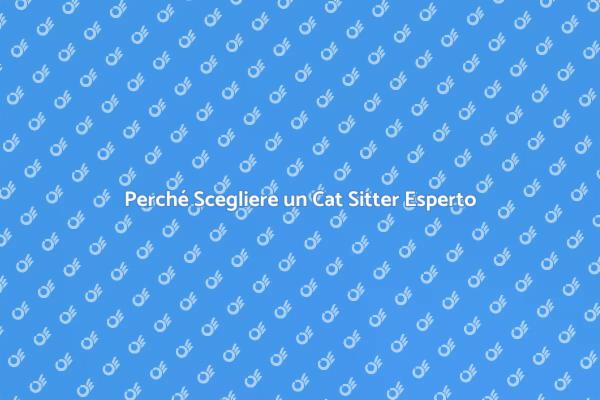 Cat Sitter: Cura e Routine per Gatti
