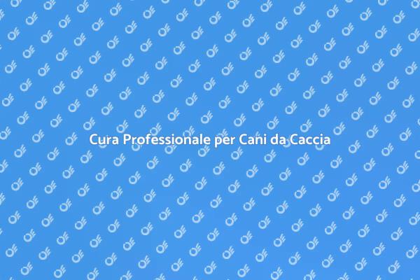 Toelettatura: Essenziale per Cani da Caccia
