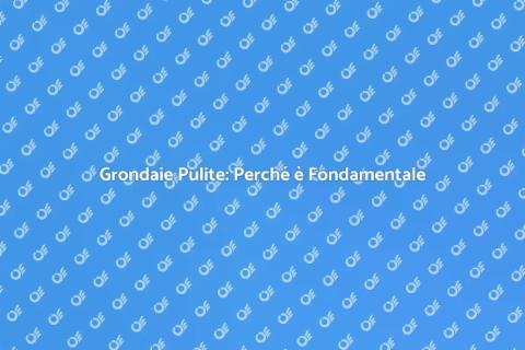 Pulizia Grondaie: Importanza e Consigli