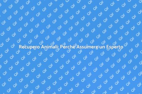 Assumere un Esperto nel Recupero