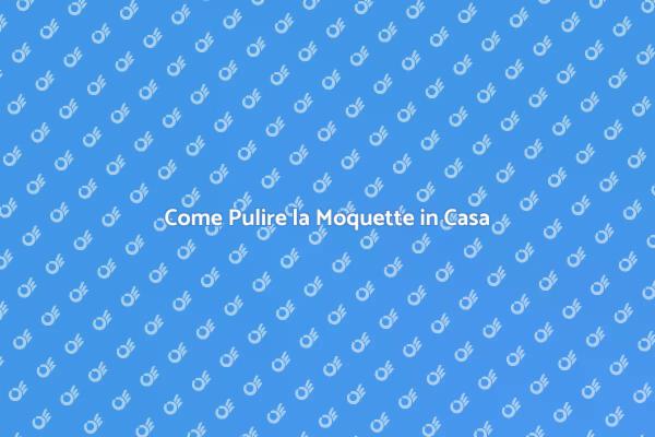 Manutenzione della Moquette Domestica