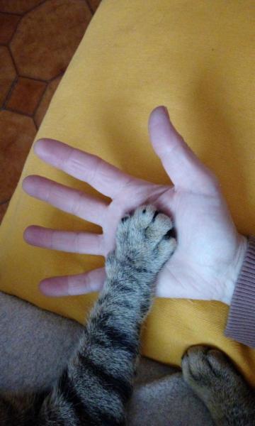 Rossana F. - Foto 2