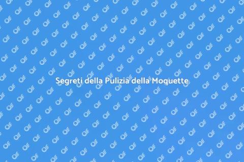 Pulizia a Iniezione della Moquette