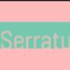 LV Serrature 