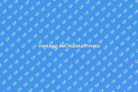 Autista Privato Professionale: Guida