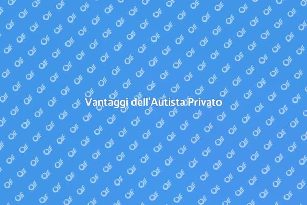 Guida all'Autista Privato Professionale