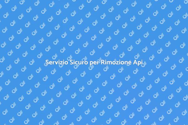 Rimozione delle Api: Approccio Sicuro