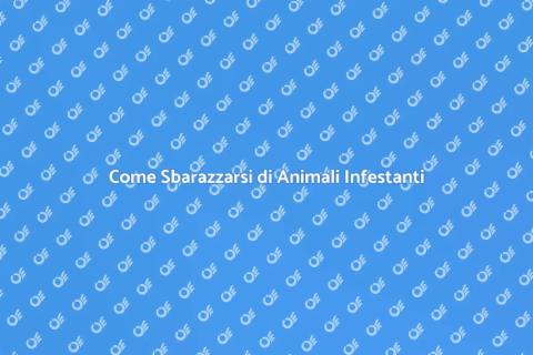 Rimozione Animali Infestanti Efficace