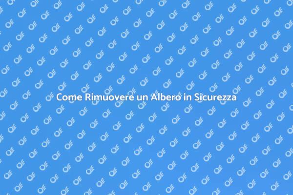 Rimozione Alberi: Cosa Sapere
