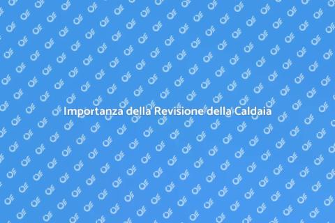 Revisione Caldaia a Legna: Comfort e Sicurezza