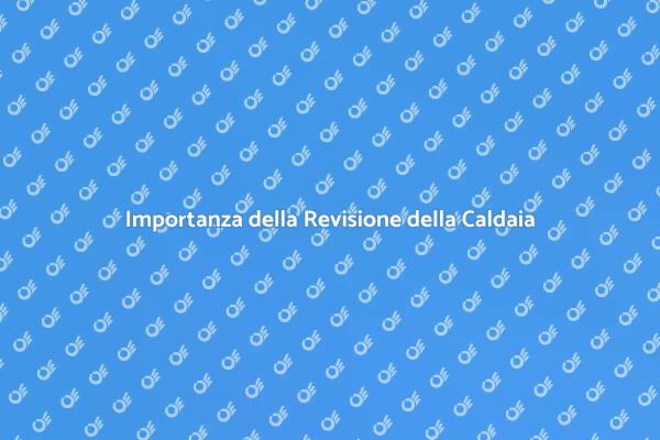 Caldaia a Legna: Revisione Necessaria per Te