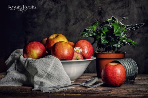 Rosalia Ricotta - Foto 8