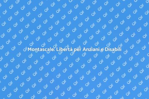 Montascale per Anziani e Disabili