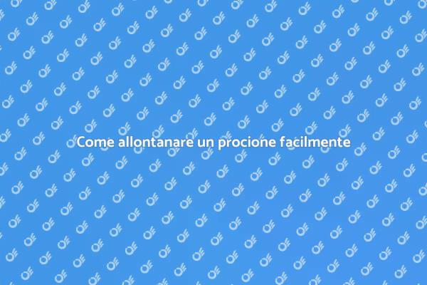 Rimuovere un procione in modo efficace