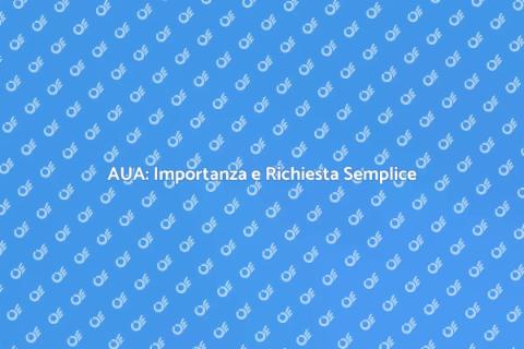 Autorizzazione Unica Ambientale: Guida