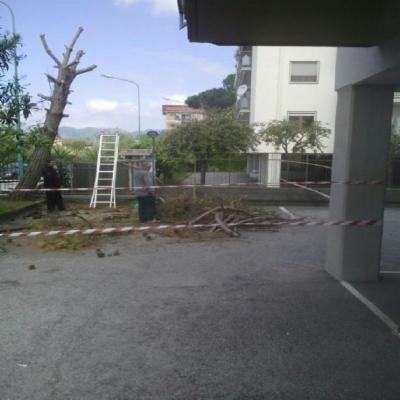 Nuova Pulizia Brillante  - Foto 3