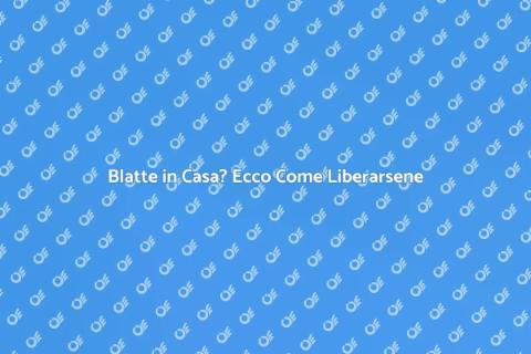 Disinfestazione Blatte: Soluzione Efficace