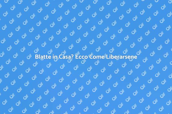 Liberati dalle Blatte: Ecco Come Fare