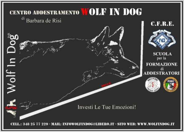 Wolf In Dog di Barbara de Risi - Foto 2