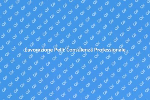 Consulenza Esperta per Lavorazione Pelli