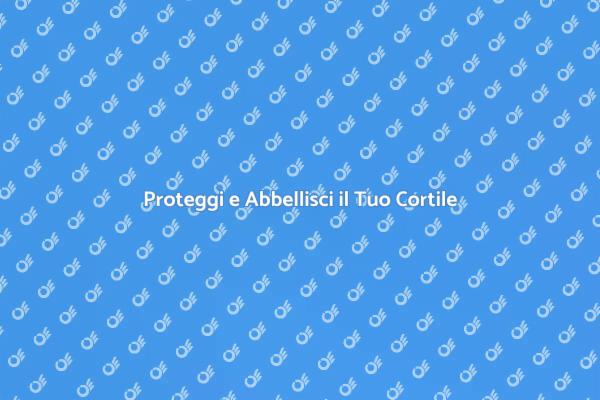 Rinnova il Tuo Cortile con la Verniciatura