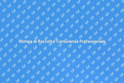 Consulenza Pompa di Raccolta Efficace