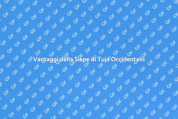 Siepe di Tuja: Verde e Privacy Assicurata