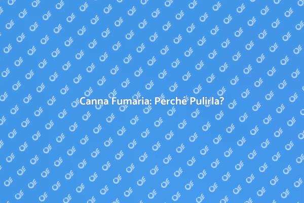 La Cruciale Pulizia della Canna Fumaria