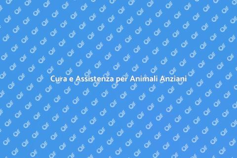Assistenza Animali Anziani: Cura e Affetto