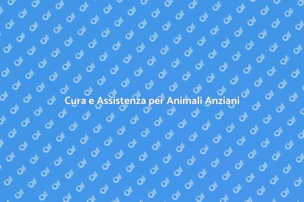Assistenza Affettuosa per Animali Anziani