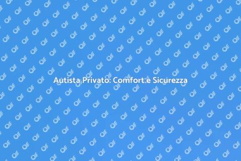 Servizio Autista Privato: Viaggia Sicuro