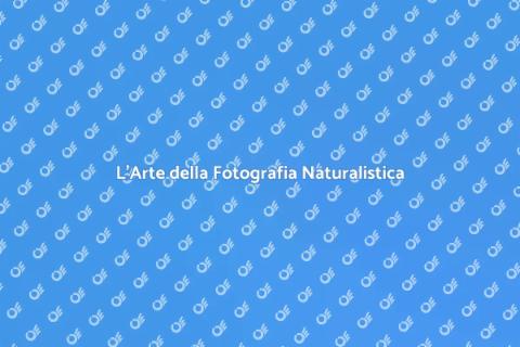 Fotografia Naturalistica: Un Mondo da Scoprire