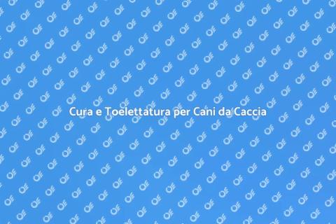 Toelettatura per Cani da Caccia