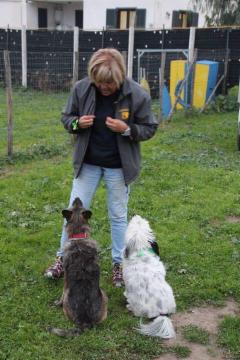 mariarosaria V. - Foto 3