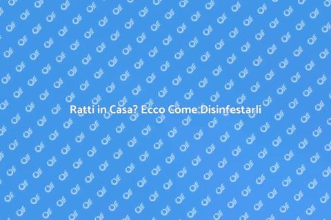 Disinfestare i Ratti: Guida Completa