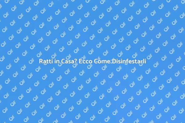 Come Eliminare i Ratti dalla Tua Casa
