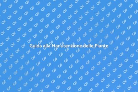 Manutenzione Piante da Fiore Selvatico