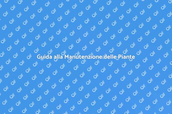 Piante da Fiore: Manutenzione Essenziale