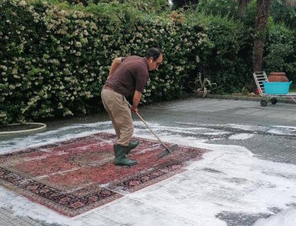 Sole tappeti orientali di Tari Verdizadeh Khosro - Foto 3