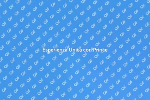 Concerto Personalizzato di Prince