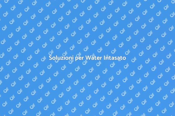 Come Risolvere un Water Intasato