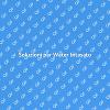 Come Risolvere un Water Intasato