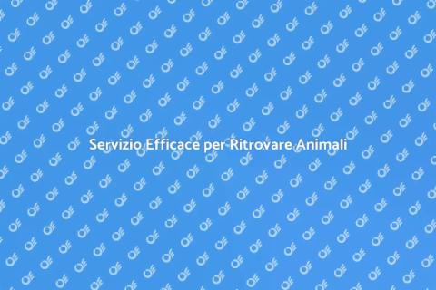 Ricerca Animali Scomparsi con Pet Detective