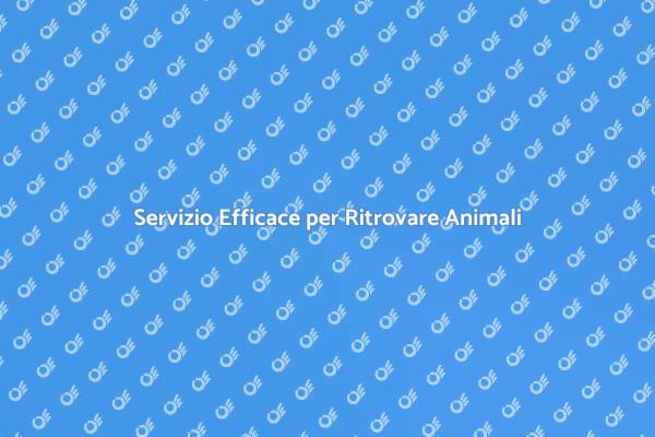 Ritrovare il Tuo Amico a Quattro Zampe