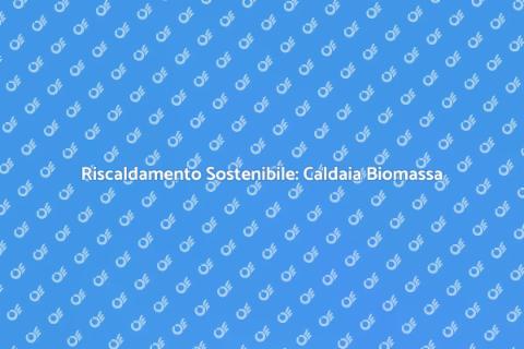 Caldaia a Biomassa: Futuro Sostenibile