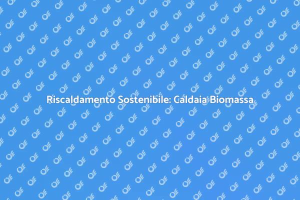 Caldaia a Biomassa: Innovazione Verde