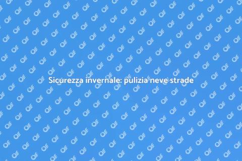 Pulizia neve su strade pubbliche