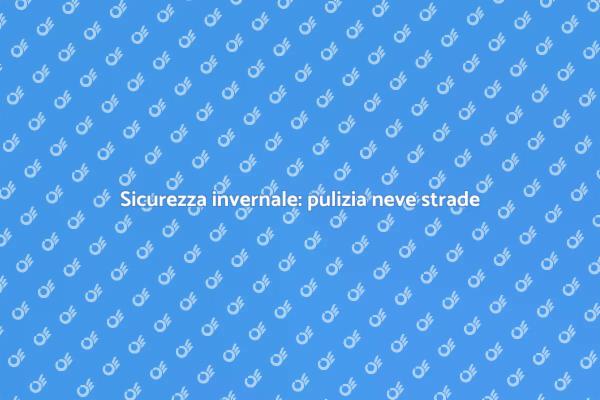 Sicurezza stradale in inverno garantita