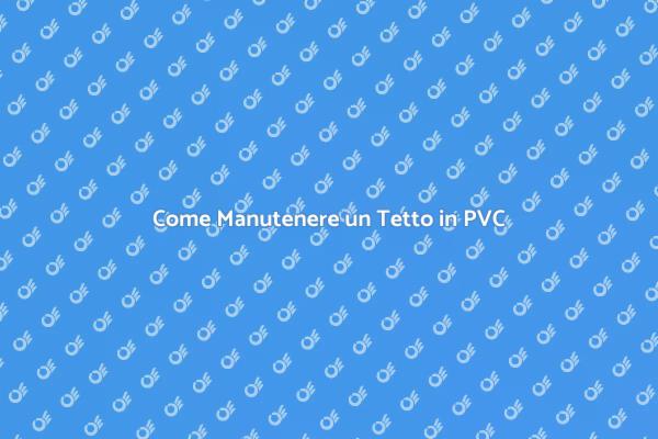 Manutenzione Efficace per Tetto in PVC